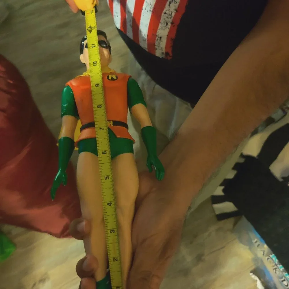 Robin. - Picture 3 of 5